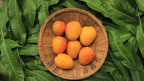 Rajgira mango